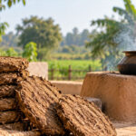 Cow-Dung-Cakes-as-a-Traditional-Fuel-Uses,-Advantages-and-Limitations